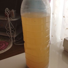 有機玄米のとぎ汁から作る乳酸菌★