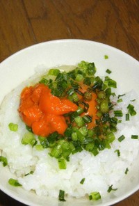 卵かけご飯 with 練りウニ