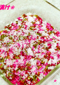 ❀桜の塩浸け❀春の香りを楽しみましょう❀