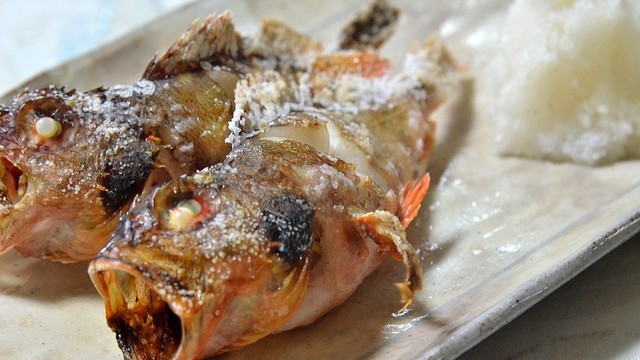 カサゴが釣れたらカサゴの塩焼き レシピ 作り方 By 世妃亜 クックパッド 簡単おいしいみんなのレシピが356万品