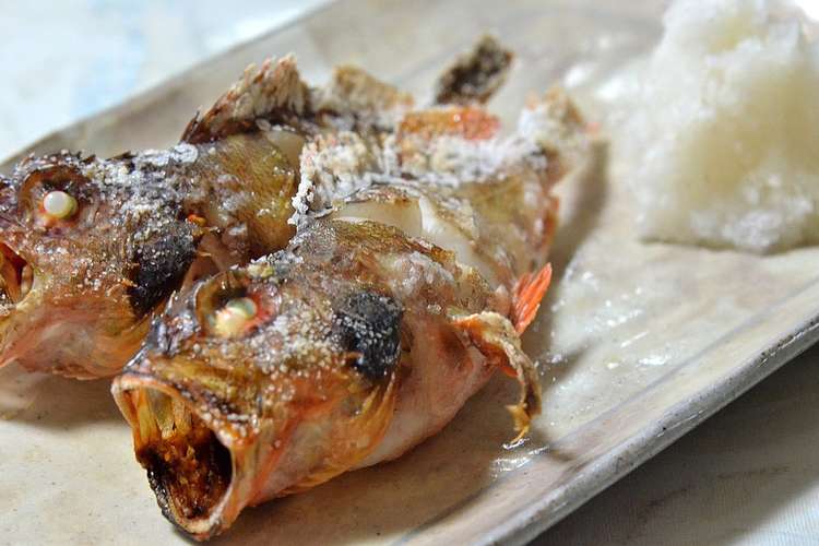カサゴが釣れたらカサゴの塩焼き レシピ 作り方 By 世妃亜 クックパッド 簡単おいしいみんなのレシピが366万品