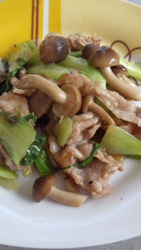 チンゲン菜と豚肉としめじのオイスター炒め