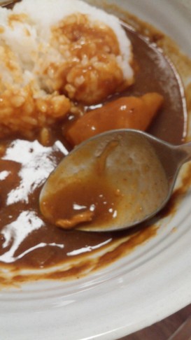 シーフードカレー(いか塩辛使用)