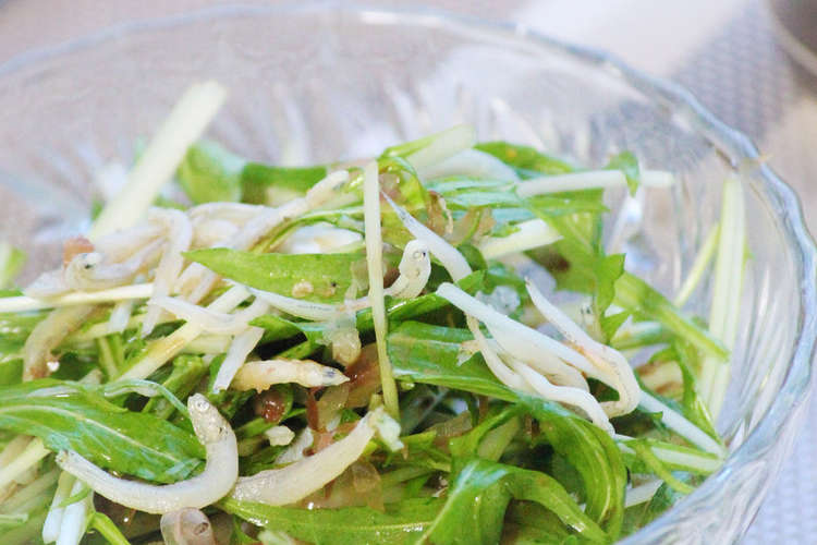 水菜としらすの即席 和サラダ レシピ 作り方 By あぽももこ クックパッド 簡単おいしいみんなのレシピが366万品