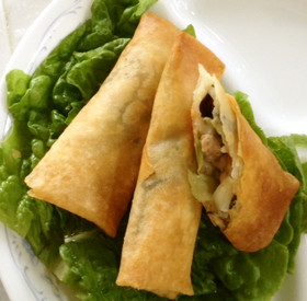 豚肉の春巻き*チーズ入り*