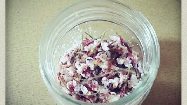 桜の塩漬け ソメイヨシノで優しいピンク レシピ 作り方 By Ohanaきっちん クックパッド 簡単おいしいみんなのレシピが367万品