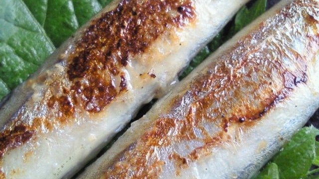 ししゃも ふっくらぷりぷりに焼く方法 レシピ 作り方 By 上手にできるかな クックパッド 簡単おいしいみんなのレシピが350万品