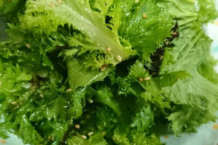 簡単 わさび菜の塩昆布サラダ レシピ 作り方 By マメ クックパッド 簡単おいしいみんなのレシピが366万品