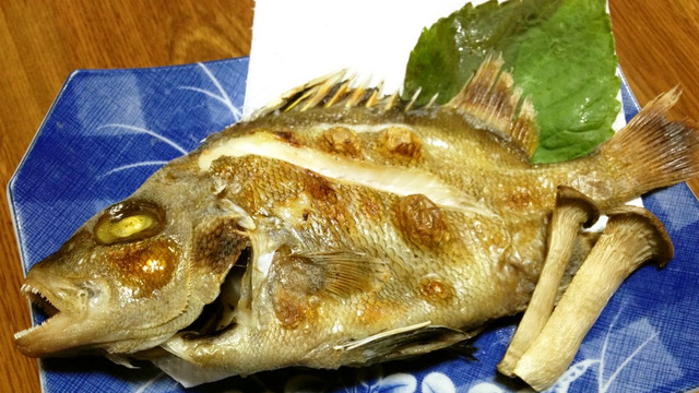 タモリ セトダイ の塩焼き レシピ 作り方 By 明石浦漁業協同組合 クックパッド 簡単おいしいみんなのレシピが361万品
