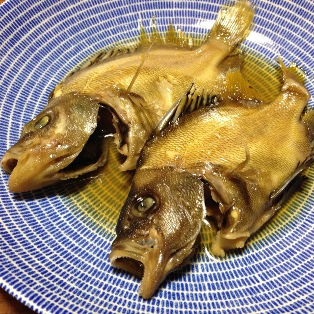 タモリ セトダイ の煮付け レシピ 作り方 By 明石浦漁業協同組合 クックパッド 簡単おいしいみんなのレシピが375万品