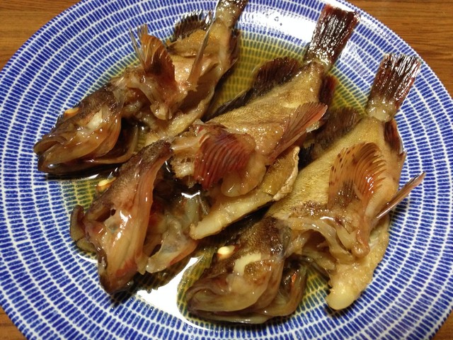 ガシラ カサゴ の煮付け レシピ 作り方 By 明石浦漁業協同組合 クックパッド 簡単おいしいみんなのレシピが377万品