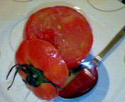 ひんやりトマトのスイートゼリーの画像