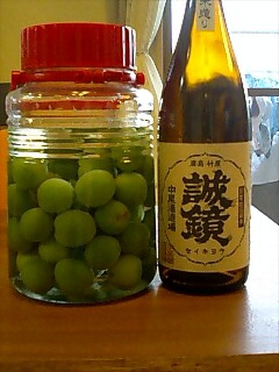 梅酒２氷砂糖を使わない日本酒梅酒の写真