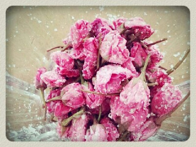 八重桜＊塩漬け＊鮮やかなピンクの画像