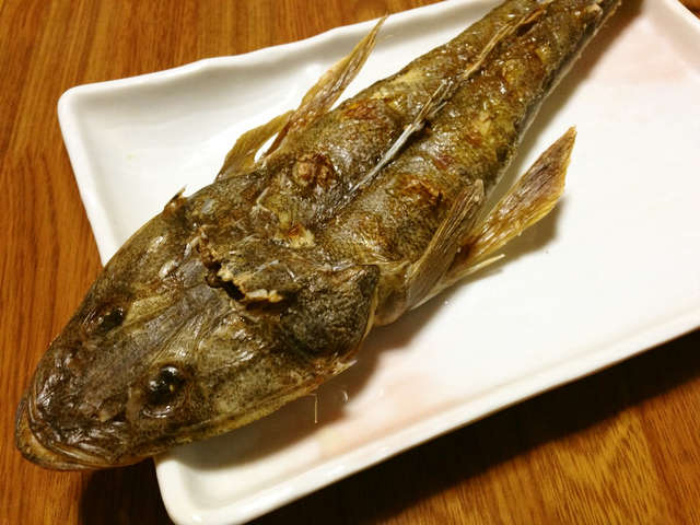 マゴチ 食べ 方 マゴチの生息地や釣りのコツを解説 おすすめの食べ方2選もご紹介