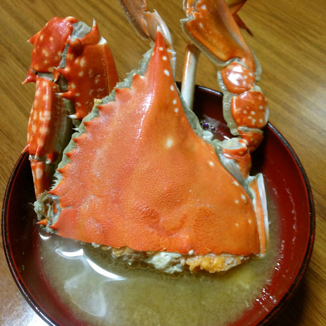 ガザミ ワタリガニ のかに汁 レシピ 作り方 By 明石浦漁業協同組合 クックパッド 簡単おいしいみんなのレシピが356万品 ガザミ ワタリガニ のかに汁 レシピ 作り方 By 明石浦漁業協同組合 クックパッド 簡単おいしいみんなのレシピが356万品