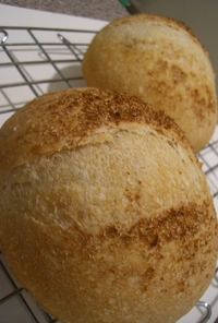 ホシノ葡萄酵母シンプルパン