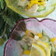 新玉葱と鶏のマリネ風サラダ