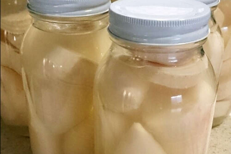 筍のした茹で 瓶詰め レシピ 作り方 By はなきな07 クックパッド 簡単おいしいみんなのレシピが350万品
