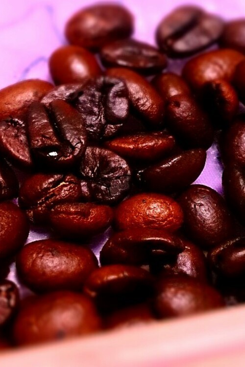 コーヒー豆＊自家焙煎の画像