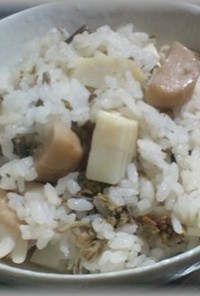 タケノコ・こわらび炊き込みご飯