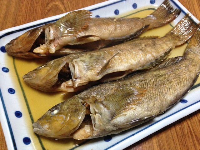 アブラメ アイナメ の煮付け レシピ 作り方 By 明石浦漁業協同組合 クックパッド 簡単おいしいみんなのレシピが366万品