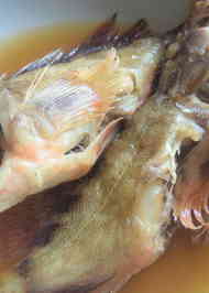 みんなの メバル 煮付け めんつゆ レシピが7品 クックパッド