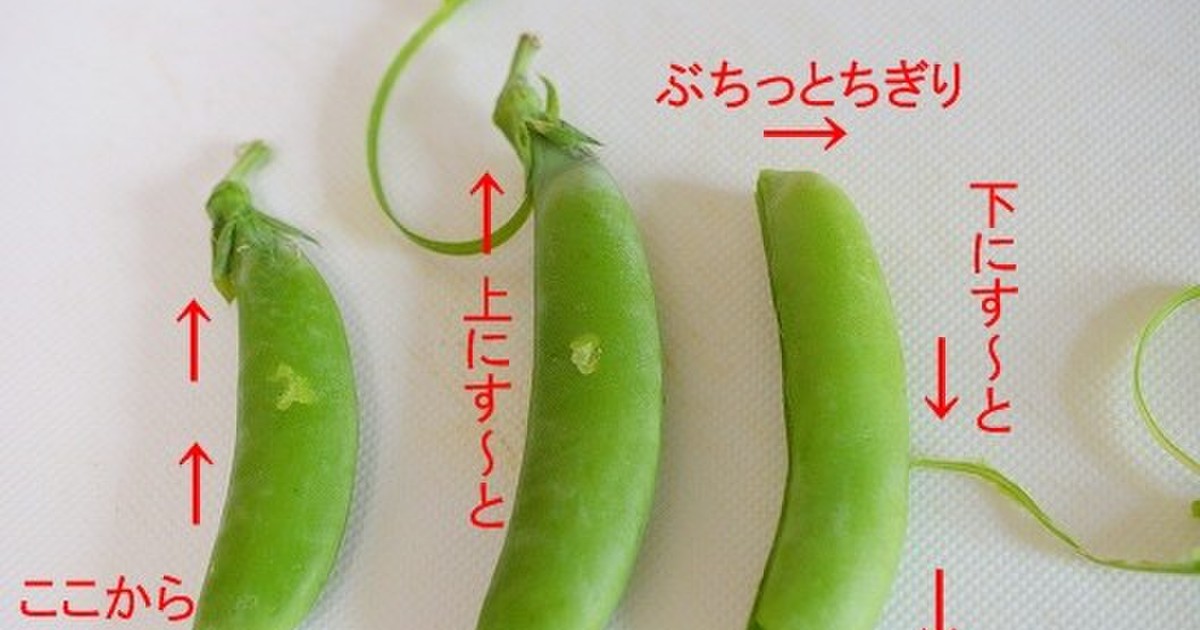 筋 とり いんげん いんげんの大きい種類の名称は？保存と食べ方