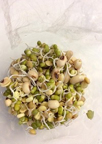 発芽豆