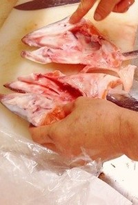 初心者OKマグロ漁師さん鮭頭簡単さばき方