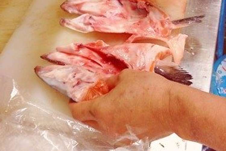 初心者okマグロ漁師さん鮭頭簡単さばき方 レシピ 作り方 By ぺトロ クックパッド 簡単おいしいみんなのレシピが378万品