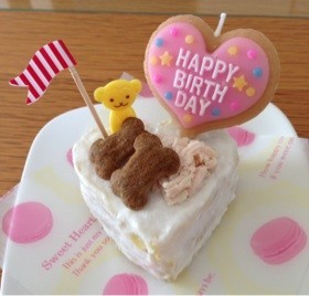 愛犬のためのヘルシーケーキ♡の画像