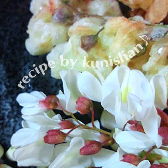 ニセアカシアの天ぷら レシピ 作り方 By くにしゃん クックパッド 簡単おいしいみんなのレシピが357万品