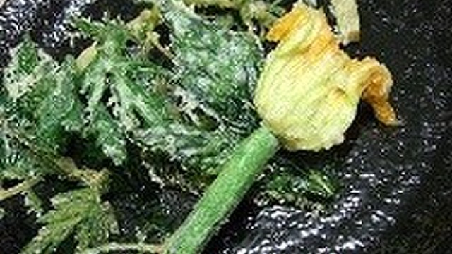 ズッキーニの花の天ぷら レシピ 作り方 By なめっぴ クックパッド 簡単おいしいみんなのレシピが360万品