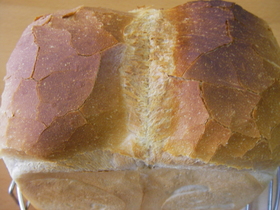 パネでもバリバリの山型食パン♪