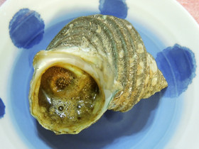 さざえのつぼ焼き 超簡単だよ
