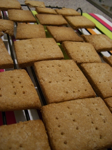 ダイエット用バキバキビスケットクッキーの写真