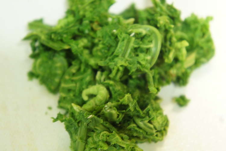 こごみの下処理 レシピ 作り方 By たぁくん クックパッド