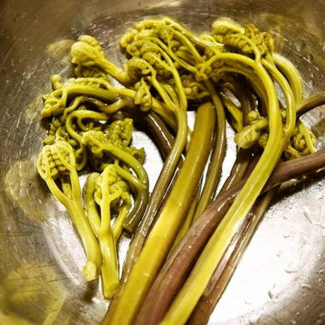 重曹なくても失敗なし ワラビのアク抜き レシピ 作り方 By Happyママ クックパッド 簡単おいしいみんなのレシピが357万品