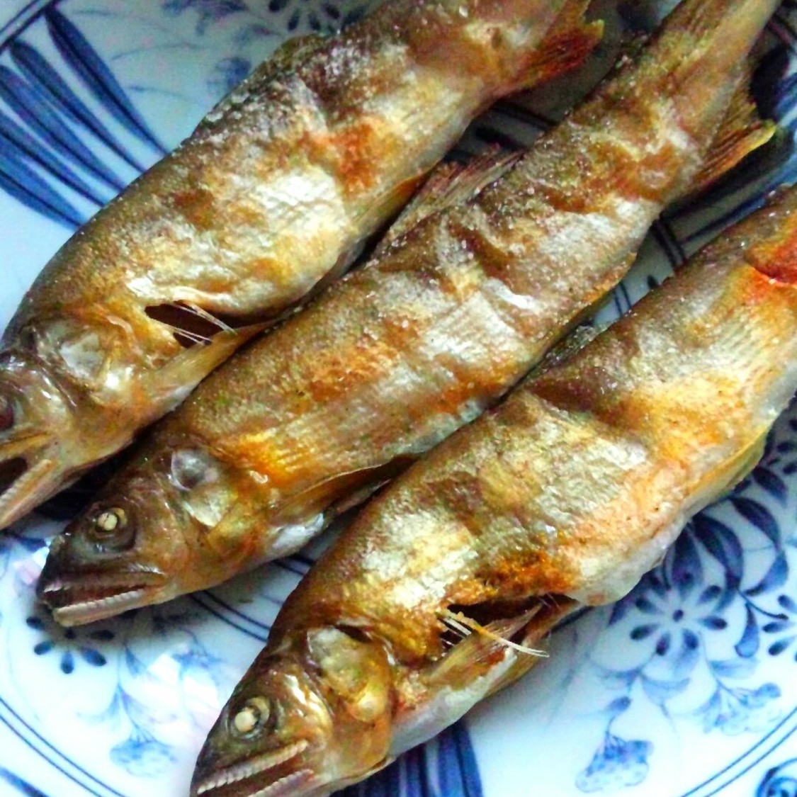 あゆの塩焼き様用