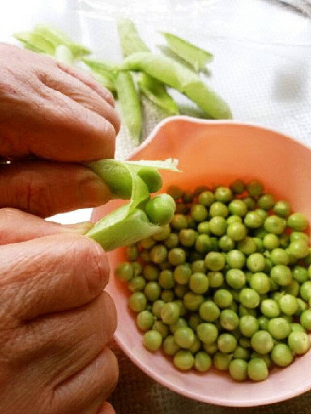 春エンドウ豆とミントのレシピ