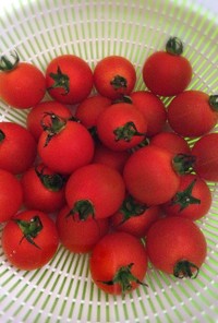 トマトの表面から農薬を取る！