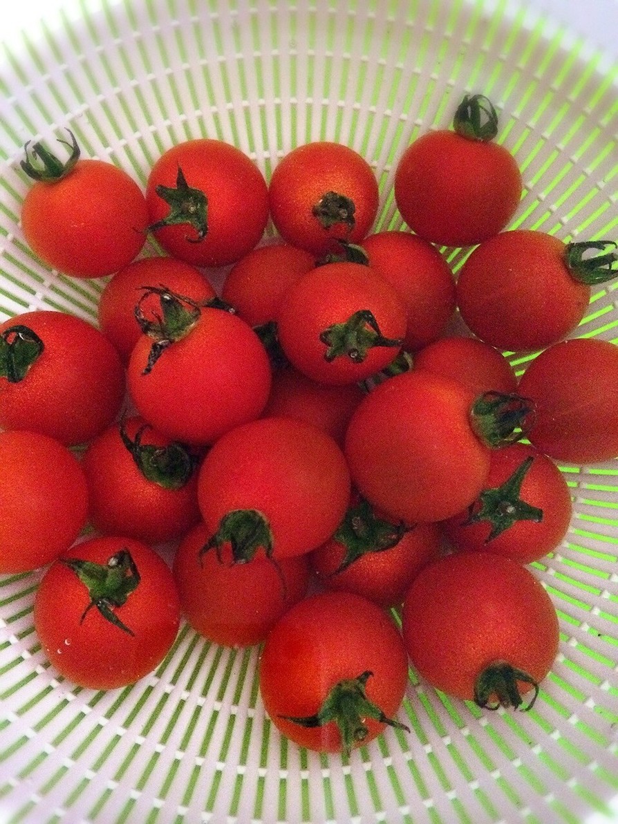 トマトの表面から農薬を取る！の画像