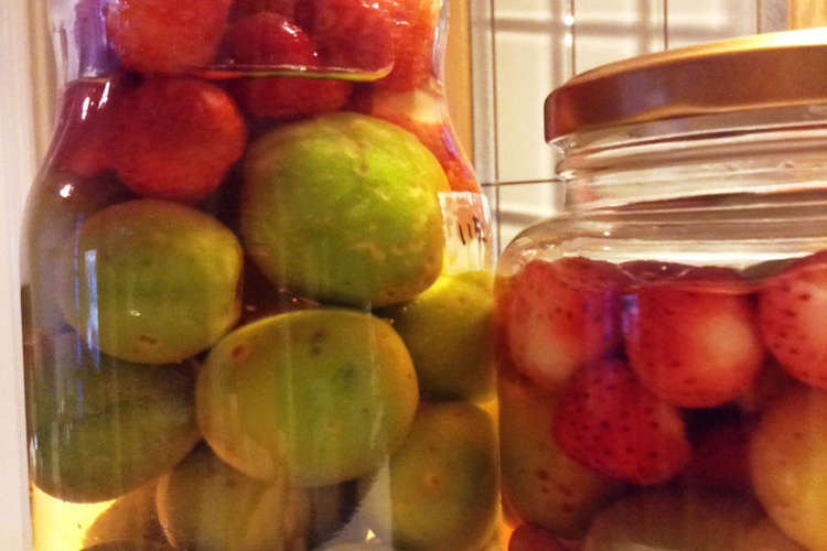 果実ミックス梅酒 梅サワー レシピ 作り方 By 桃kuma クックパッド