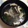 カニカマと椎茸の春雨スープ♡