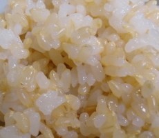 活力なべ☆圧力鍋で自家製発芽玄米の炊き方の画像