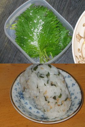しその塩漬(使い勝手抜群^^)
