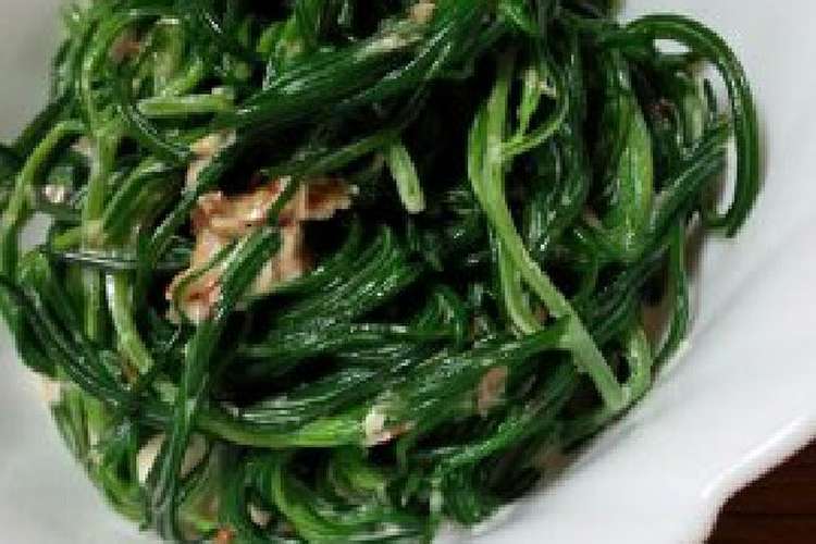 おかひじきの簡単マヨネーズ和え レシピ 作り方 By たくやときみこ クックパッド