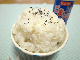【実験】シウマイ弁当のご飯にチャレンジ!
