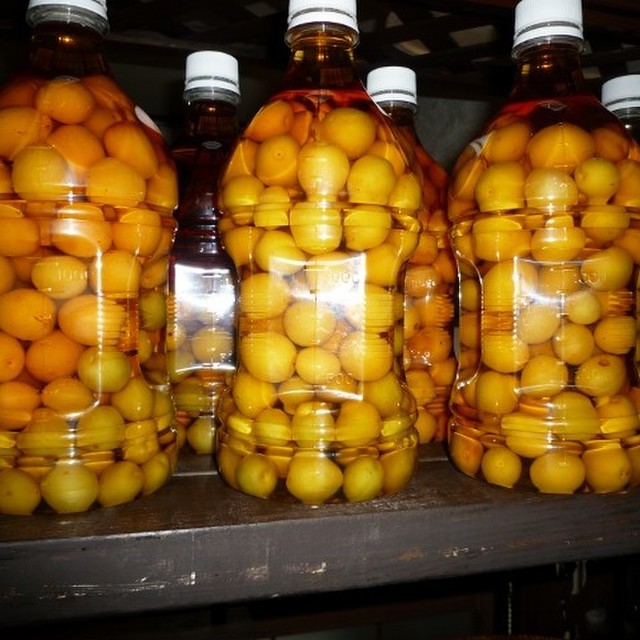 自家製梅酒ウィスキーベース 京都カフェ レシピ 作り方 By Kyotocafe クックパッド 簡単おいしいみんなのレシピが360万品